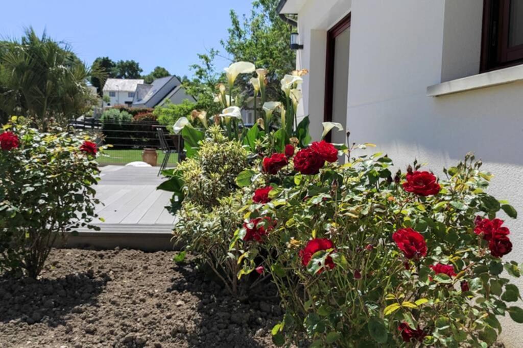 ✪ Sur La Route Des Plages - Maison Pour 8 Pers. ✪ Auray Ngoại thất bức ảnh